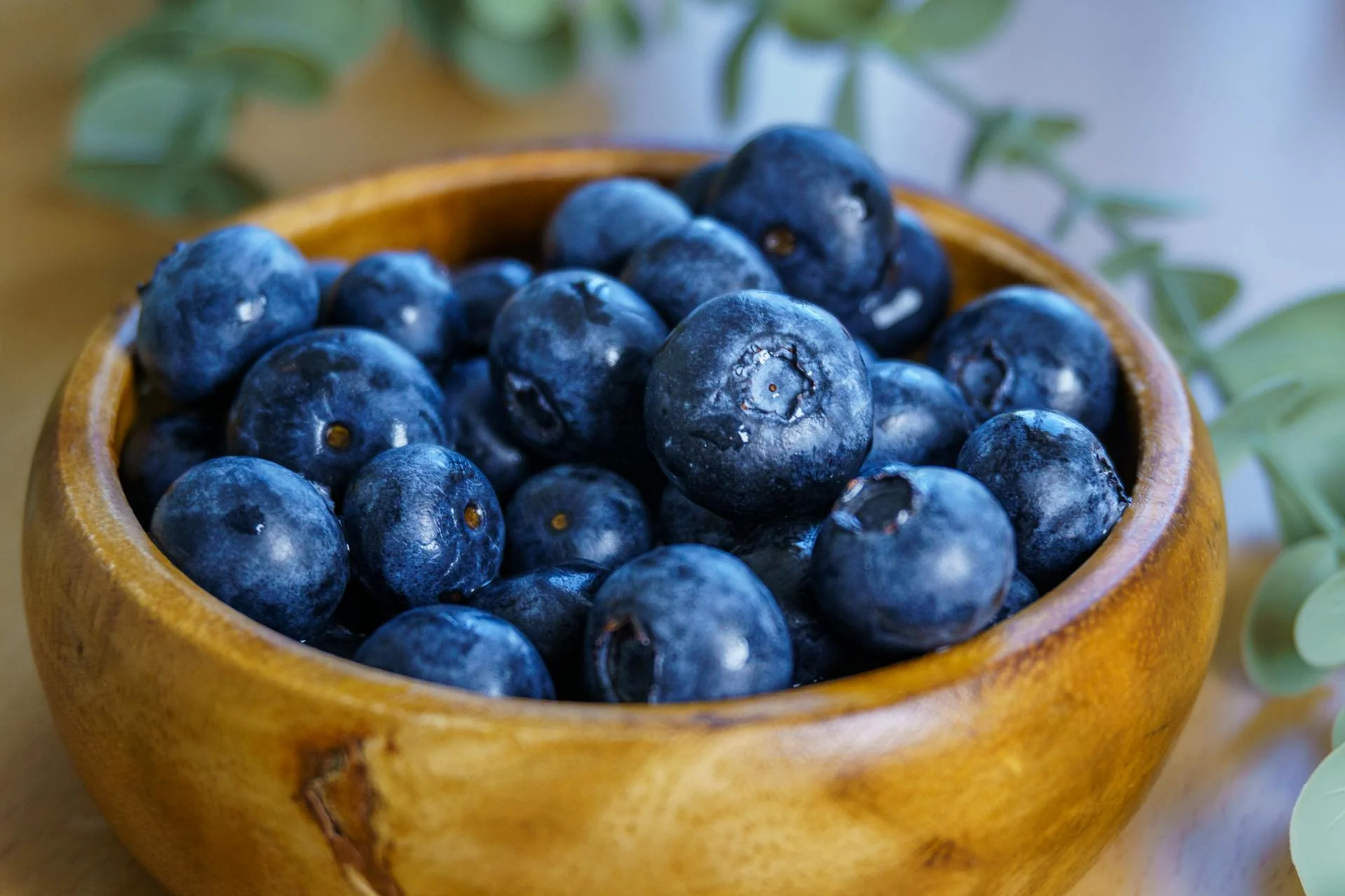 Berry Farms Since 1980
