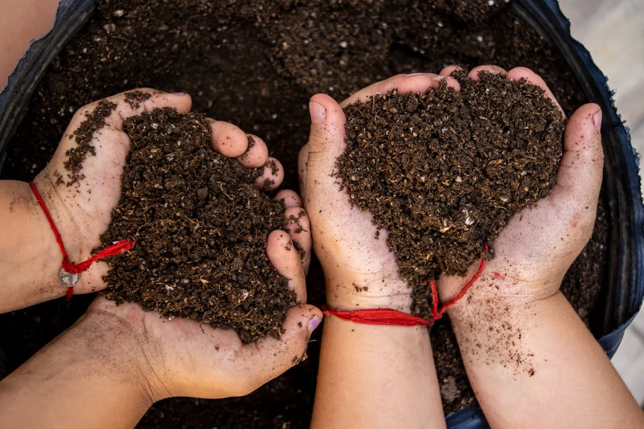 Cultivo regenerativo, suelo vivo